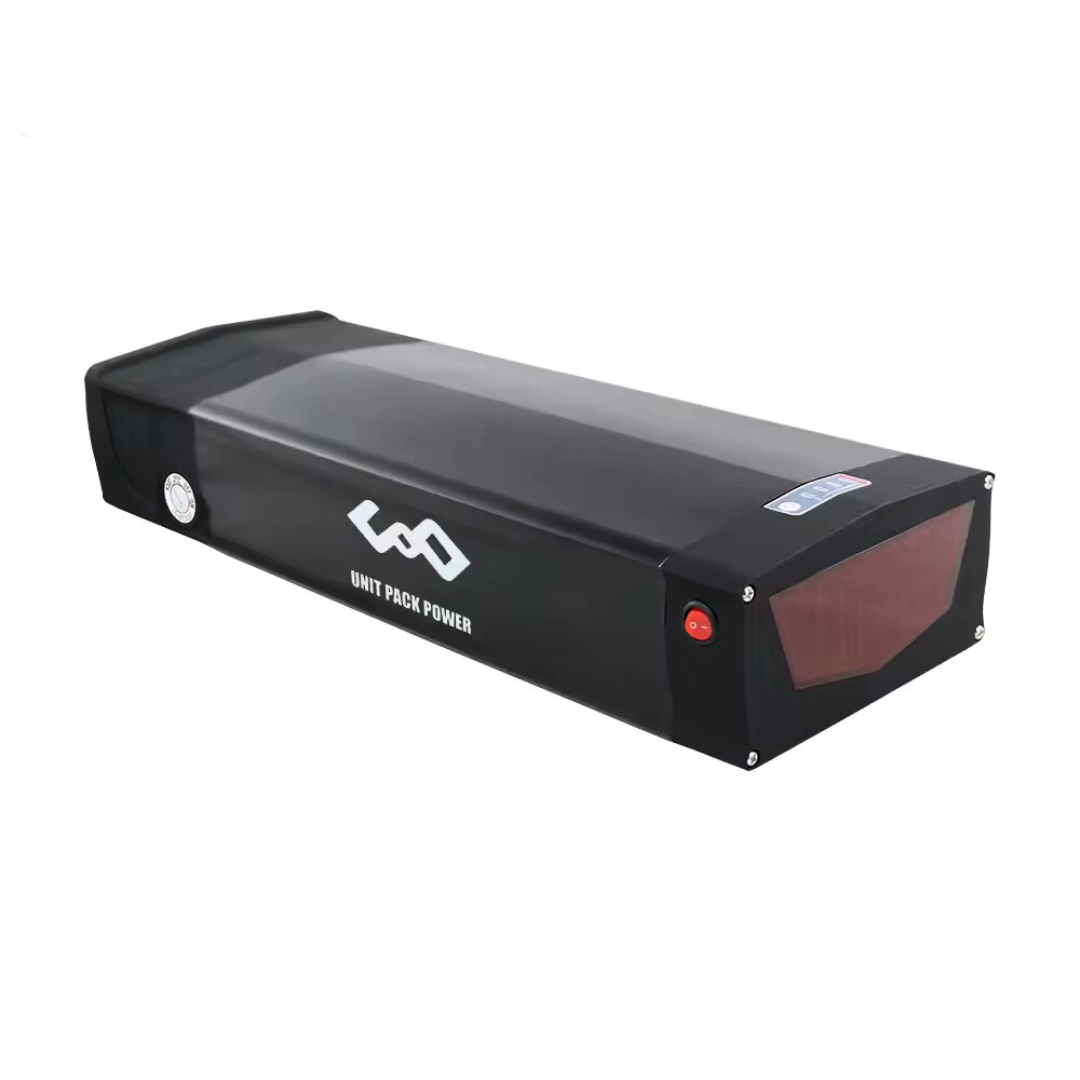 Baterie 48V20ah Bortbagaj